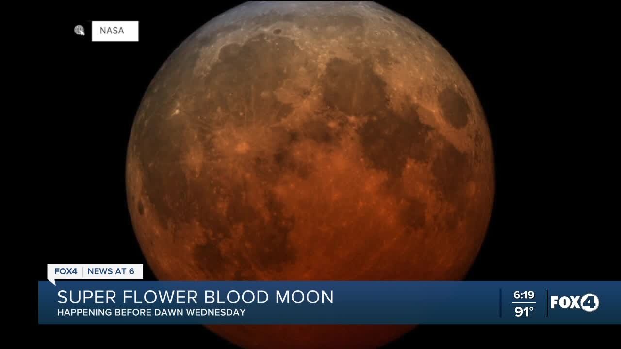 Super flower blood moon and a total lunar eclipse tomorrow