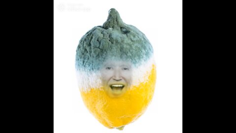 The Ultimate Joe Biden Lemon Meme! 🍋