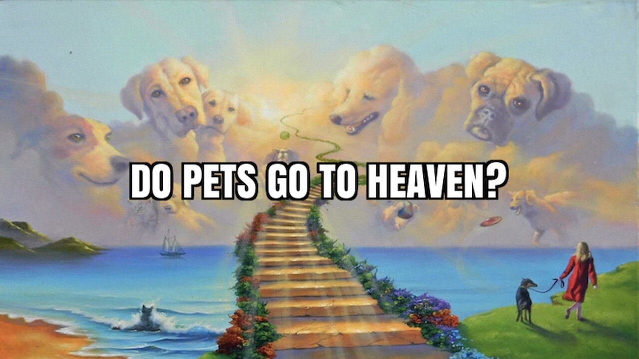 DO PETS GO TO HEAVEN?