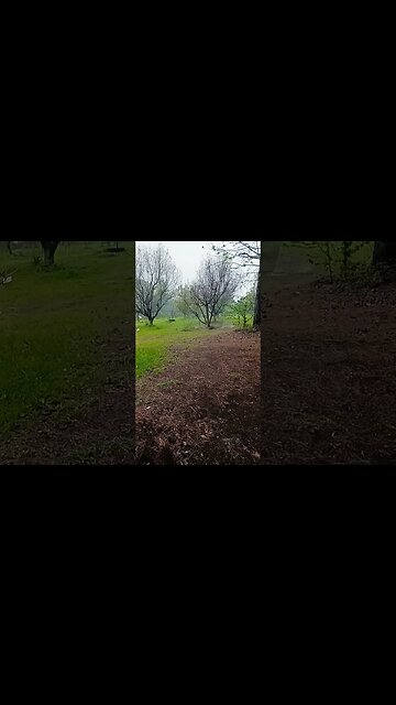 continuation of oil base site and leakage due to poor maintenance. 3425 Hawkins texas.