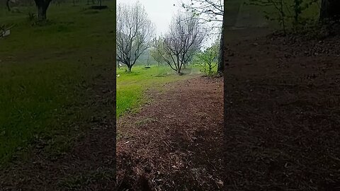 continuation of oil base site and leakage due to poor maintenance. 3425 Hawkins texas.