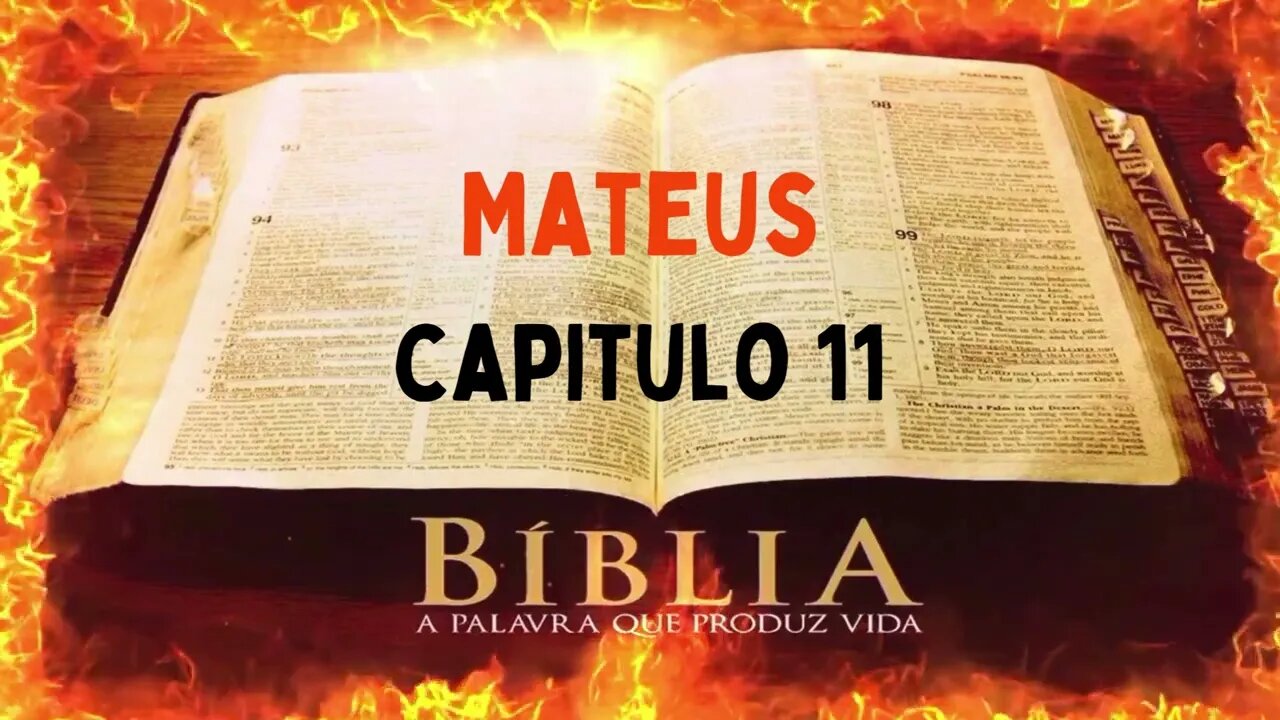 Bíblia Sagrada Mateus CAP 11