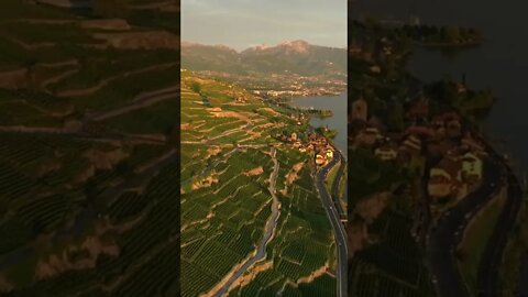 Vineyard terraces of Lavaux