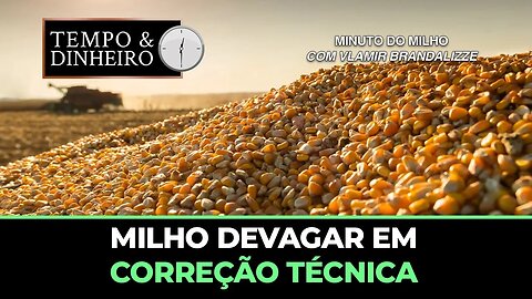 Milho devagar em correção técnica