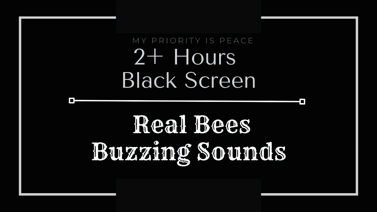 2+ Hrs of Bee Sounds on a Black Screen | No Ads | Real Hive | Mesmerizing Humming | Hypnotic