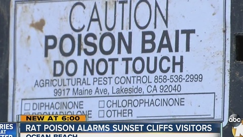 Rat poison alarms Sunset Cliffs visitors