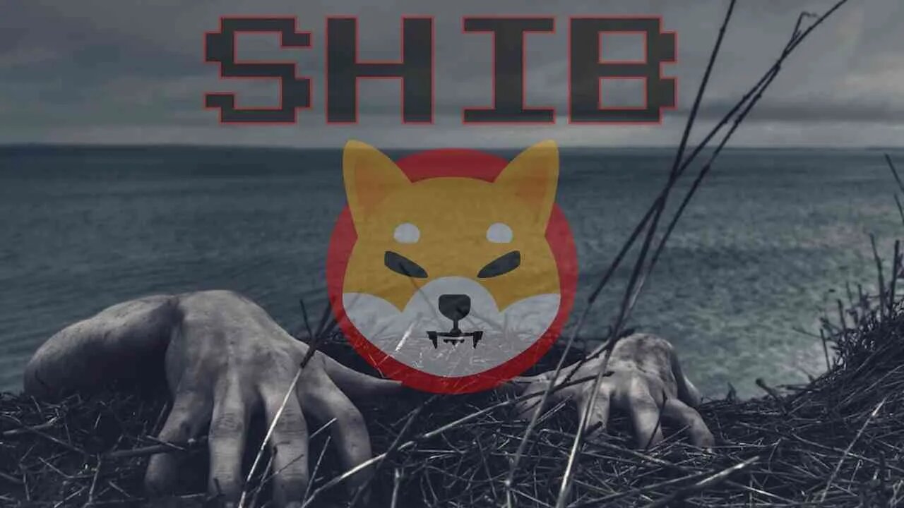 SHIB BURN and Tangem AMA to PUMP price!!? +1450% Daily Analysis 2023 Crypto