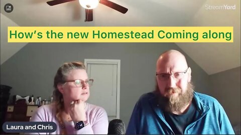 Saturday night chat with the Hedgehog's