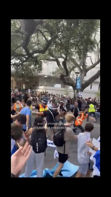 A pro-Palestinian protester attacks a Jewish protester at Tulane University in New Orleans.