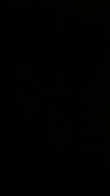 Baseball training season