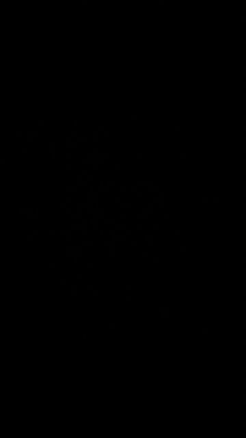 The new Patriot Party