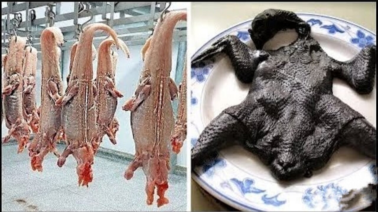 20 Foods Only The Rich Can Eat