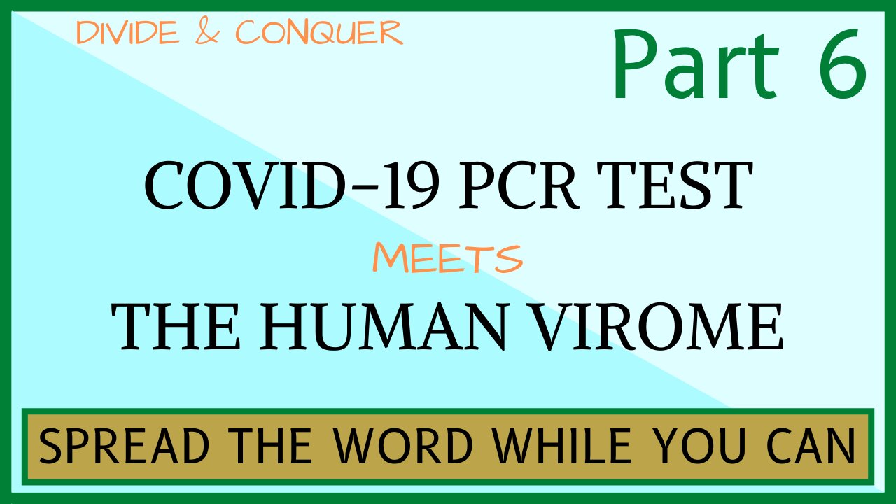 Divide And Conquer | PCR Test and Human Virome | pt 6