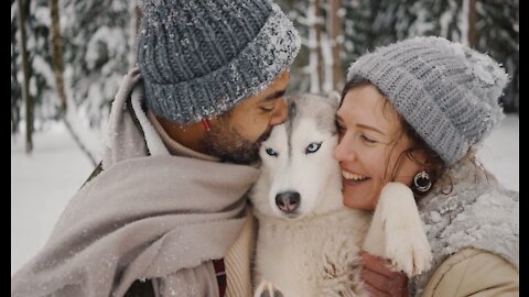 A moment to remember to love a dog