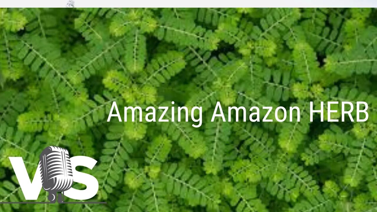You Have To Learn About This Amazing Rainforest HERB! Don't miss!