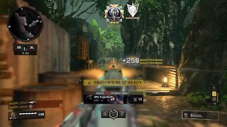 Black Ops 4 This is how we do it ( no commentary )