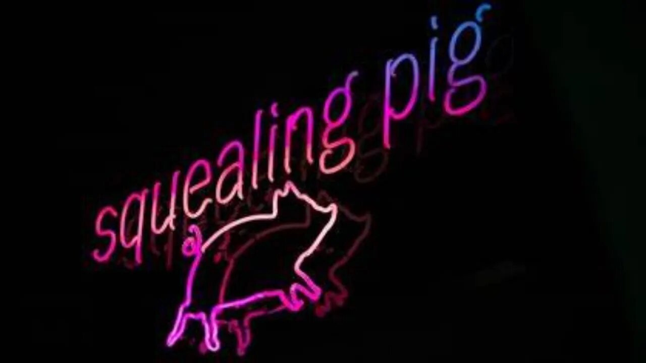 Will the pig ever stop squealing her misinformation? #ziggy #misinformation #hypocrite