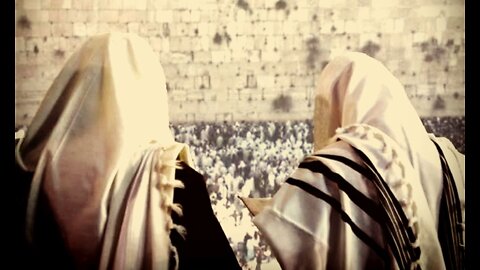 The Two Witnesses - New Revelations