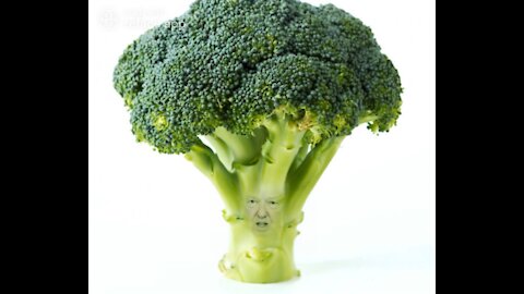 The Ultimate Donald Trump Meme!