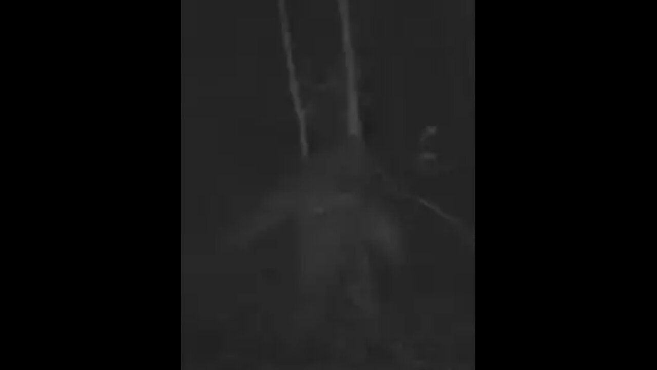 Bigfoot Photos from Connersville, Indiana
