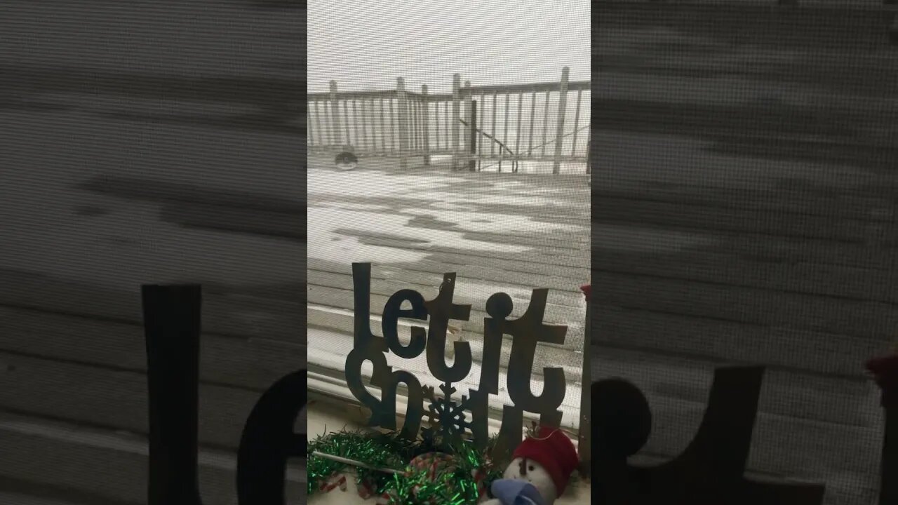 EVERYONE Deserves to be WARM 🔥This Christmas 🇺🇸