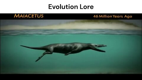 Evolution Lore #lore #evolution #memes #whale