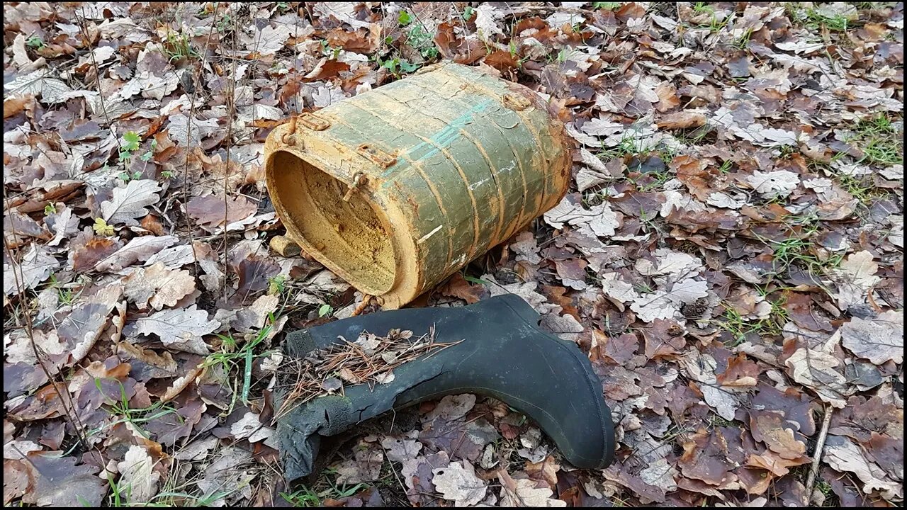Дурак и солнце Forst Zinna