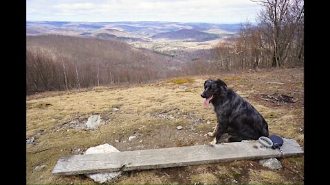 Berlin Mountain - Dog Hike