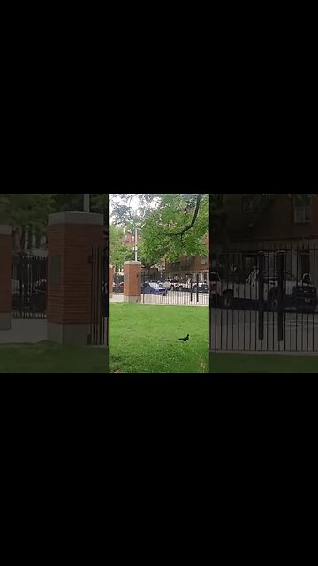 Boston Towing Department gives man parked at a bus stop break. Lol. My car would have been towed. 😆