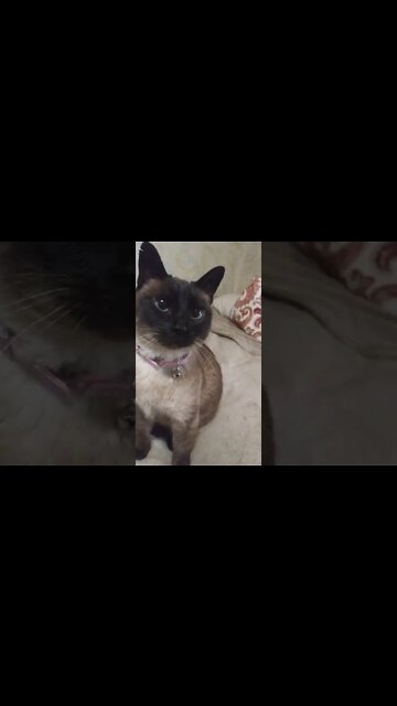 GOOD MORNING ERNASTINE