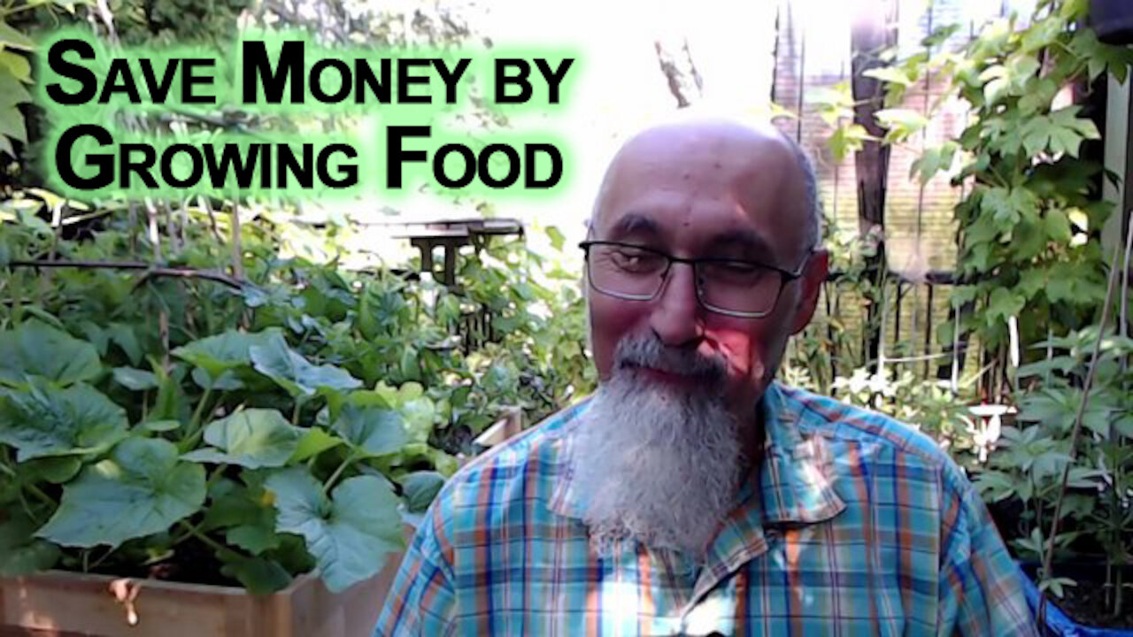 Live a Healthy Life, Be Antifragile: Save Money by Having a Garden and Growing Food