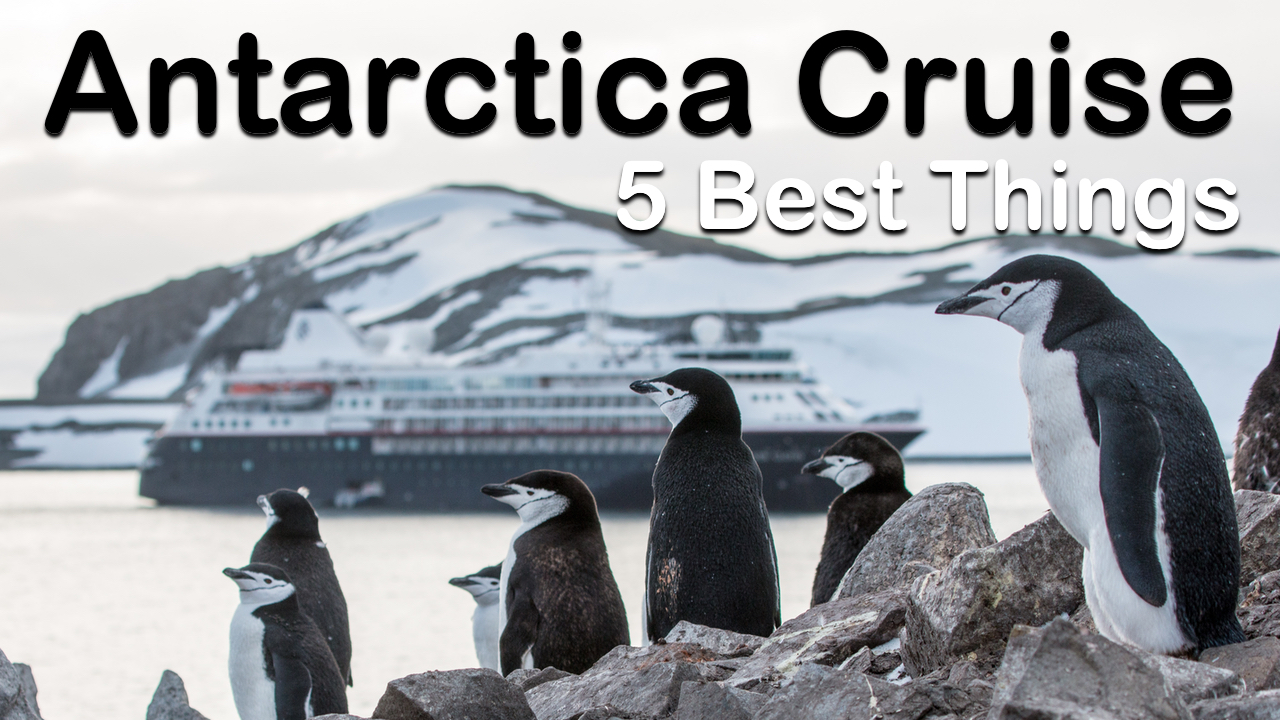 5 Best And Surprising Things About An Antarctica Cruise