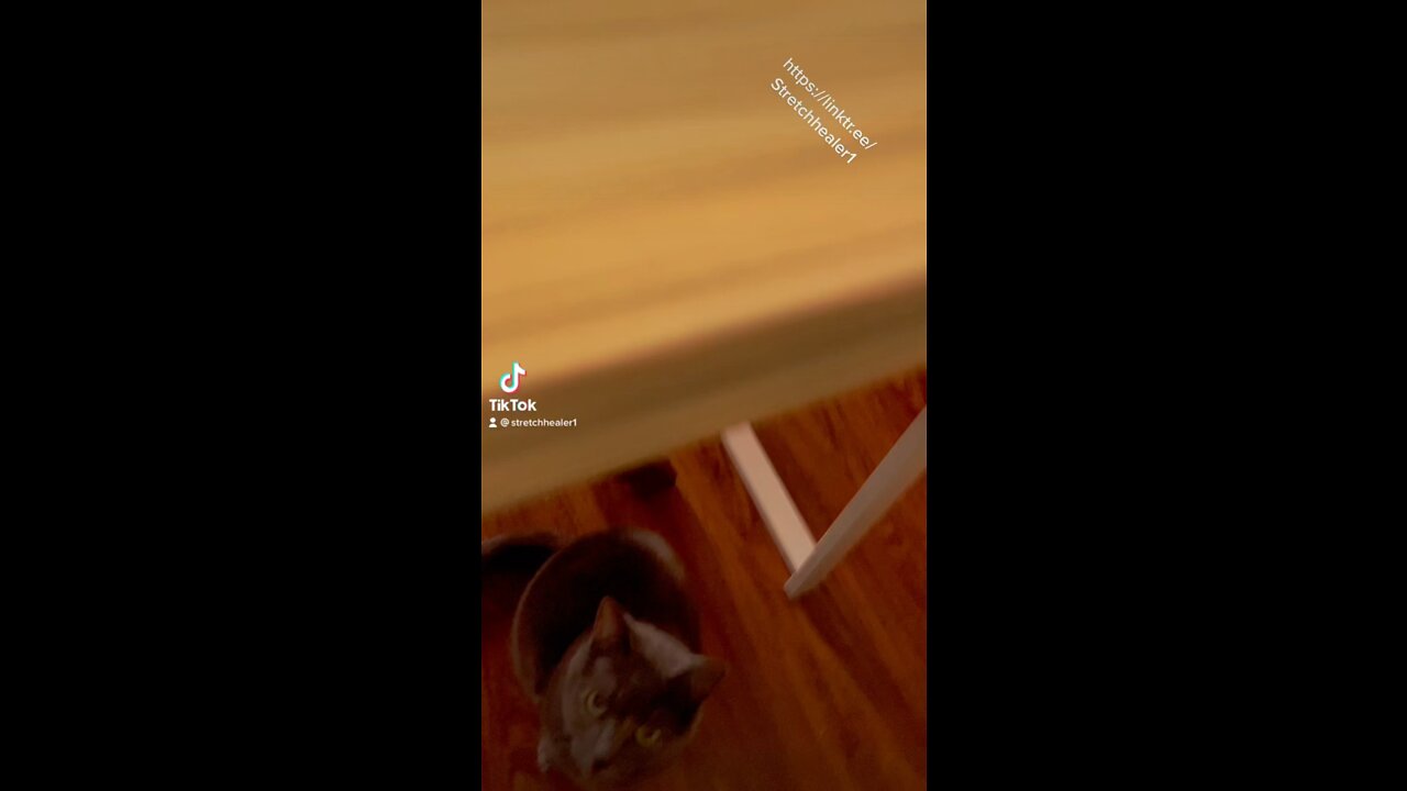 Today ❤️🇨🇦🙏