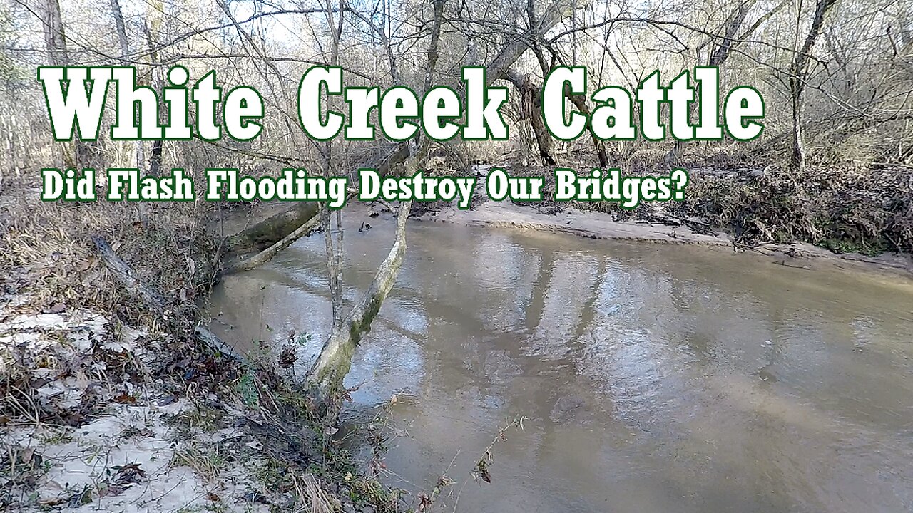 WCC - Did Flash Flooding Destroy Our Wooden Bridges?