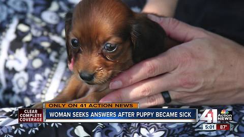 Woman seeks answers after puppy became sick, died