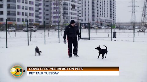 PET TALK TUESDAY - IMPACT OF COVID AT HOME