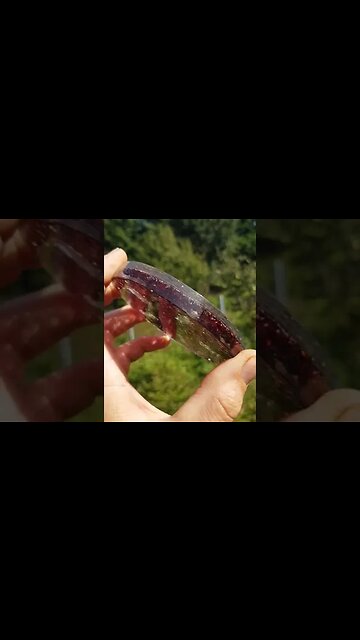 Nouveaux Plateaux De Rechargement En Orgonite | Exclusivité