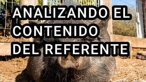 ANALIZANDO AL REFERENTE 4.0 PORKISIDOR