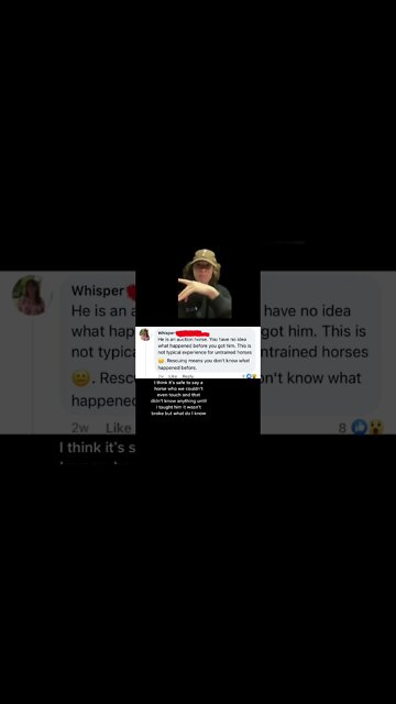 People Writing Fanfiction About My Pony for 1min Straight