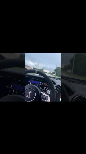 Shelby Beast #ford #mustangsociety #fordperformance #fordracing #shelby #shorts