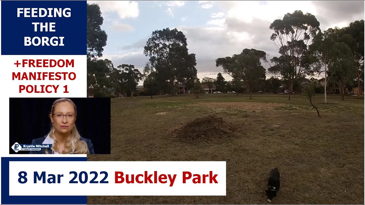 6:30pm 8 Mar 2022 - Feeding the Borgi (+ LibDem Policy 1): Buckley Park, Essendon