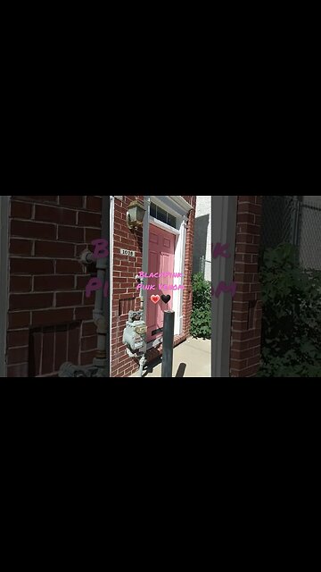 BLACK PINK/Pink Venom