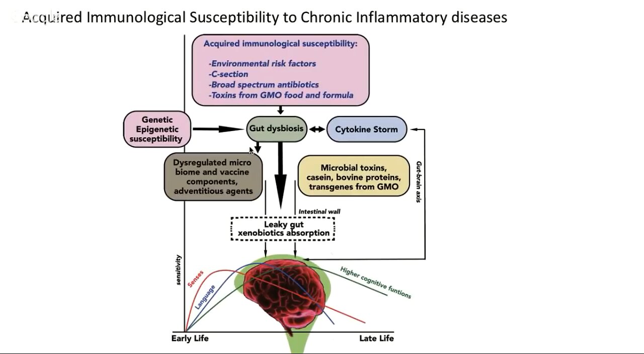 Healing the inflamed and leaky gut - Judy Mikovits