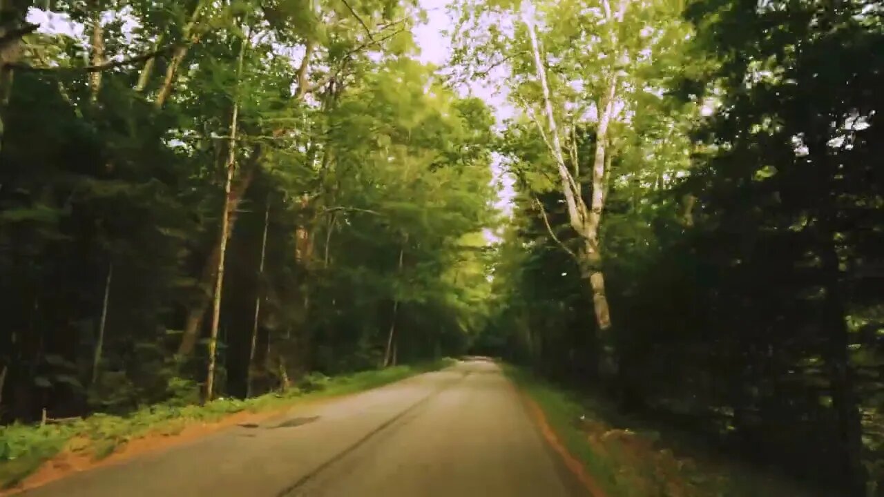 Dark and Moody Bike Ride in the Forest **DIM YOUR SCREEN**