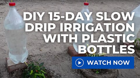 DIY 15-Day Slow Drip Irrigation with Plastic Bottles