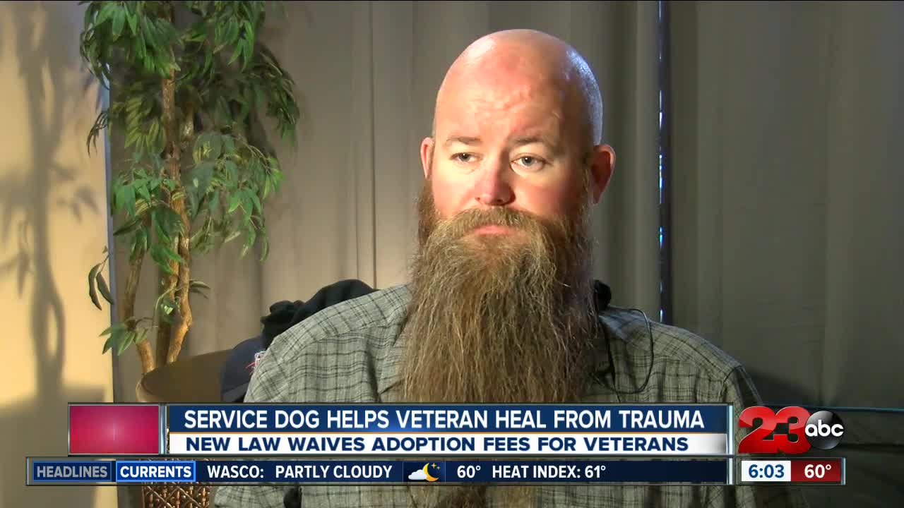 Service dog helps veteran deal with PTSD