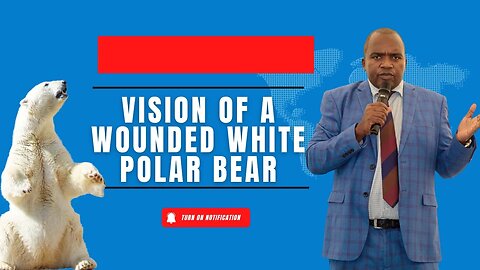 Vision of a wounded white polar bear