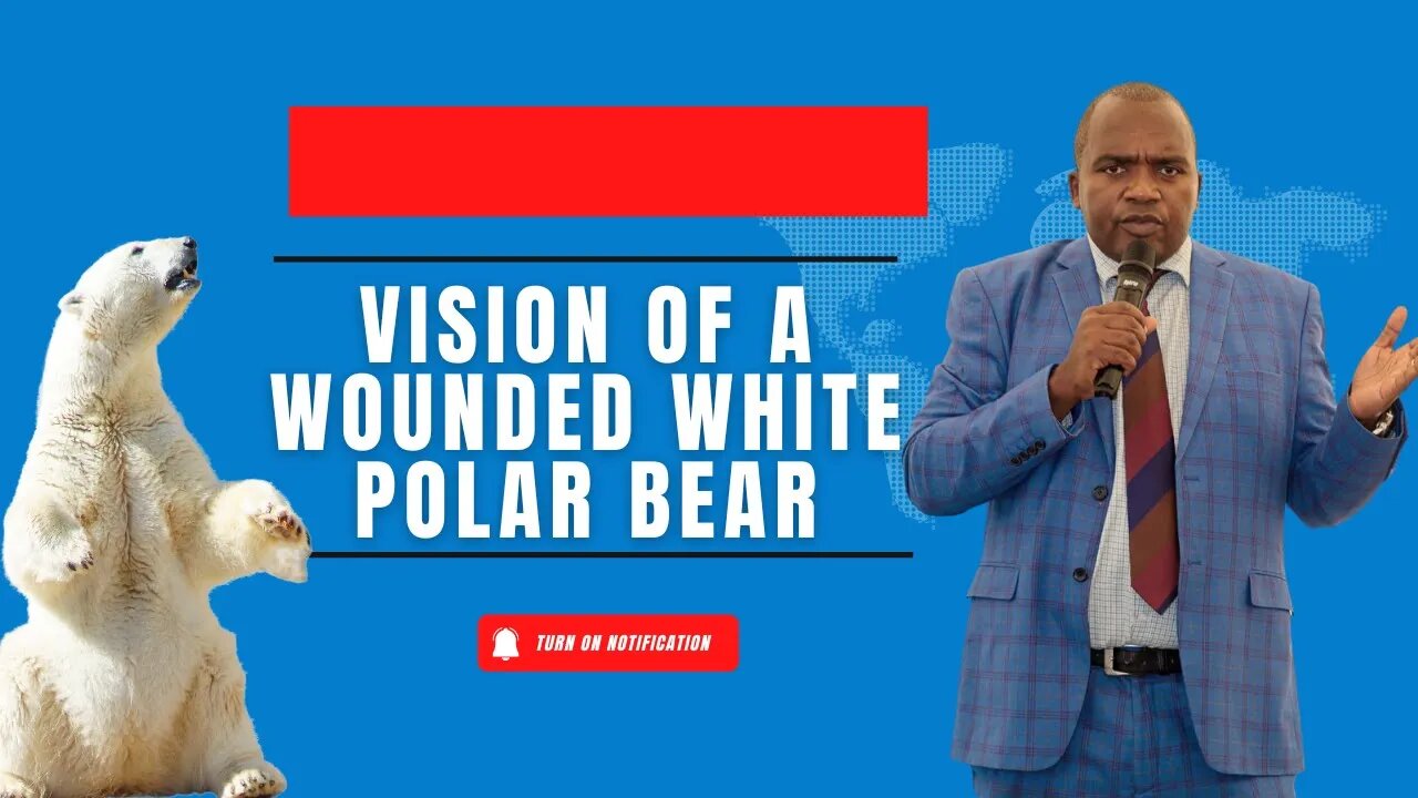Vision of a wounded white polar bear