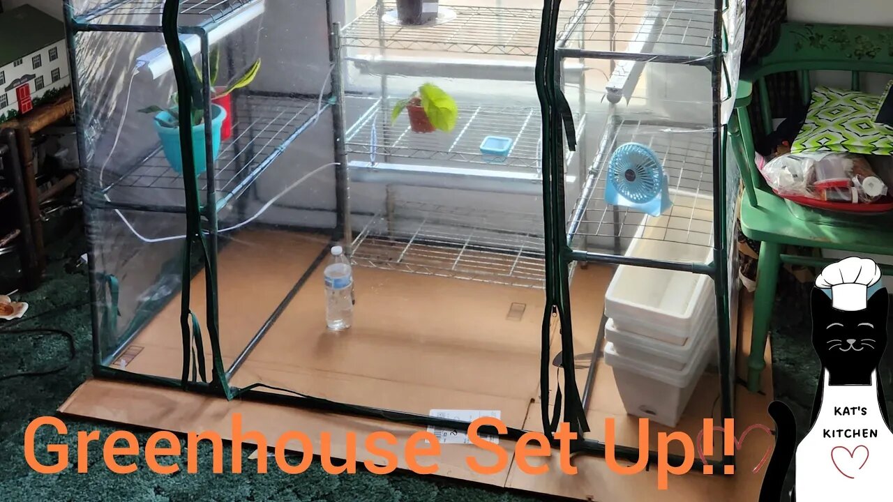 Indoor Greenhouse Set Up 57x29x77: Preparing for the Spring Garden 2023.