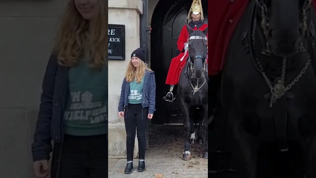 He wants to bite #horseguardsparade